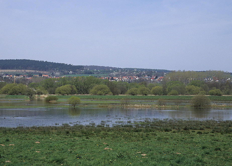 NSG 218, vernässte Rhädensenke im NSG „Dankmarshäuser Rhäden“ (Wartburgkreis), Blick vom Werra-Radweg. (Foto: Holm Wenzel, 27.04.2008)