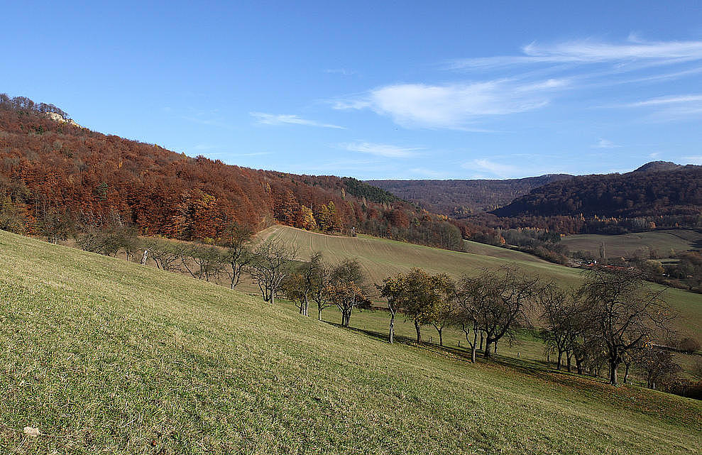 NSG 68, Blick vom Bärentriesch nördlich Asbach (Landkreis Eichsfeld) nach Osten zur „Nase“ (links oben), zum Scharfenberg (Bildmitte), über das Tal des Alten Hainsbaches zum Rachelsberg (Bildmitte hinten), Iberg (rechts) und dahinter Hesselkopf (Hesselkuppe, rechts hinten). (Foto: Holm Wenzel 06.11.2011)