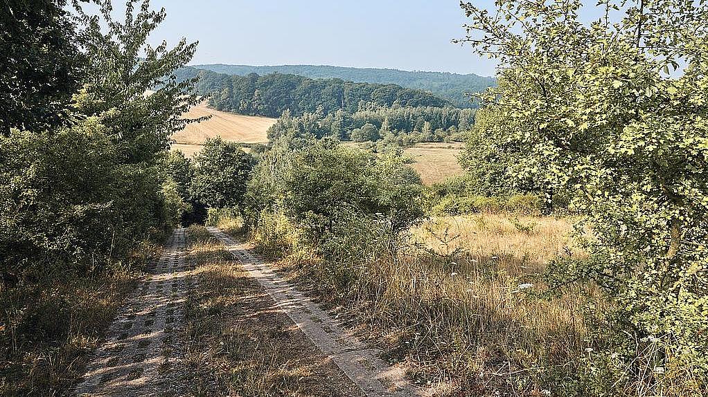 Teilabschnitt des Grünen Bandes