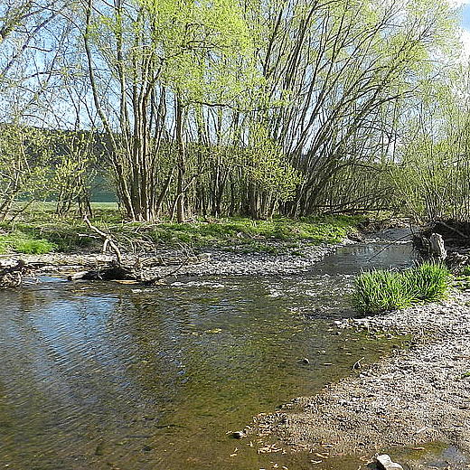 naturnaher Bach