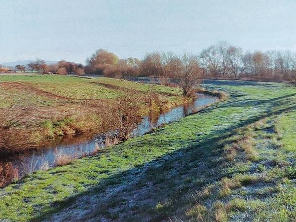 Zorge Gemarkung Windehausen; Bild: TLUBN