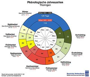Im äußeren Ring der phänologischen Doppeluhr ist der langjährige mittlere Verlauf der phänologischen Jahreszeiten für den Referenzzeitraum 1961-1990 dargestellt. Im Vergleich dazu ist der aktuelle Verlauf der phänologischen Jahreszeiten im Zeitraum 1991-2020 im inneren Ring abgebildet.