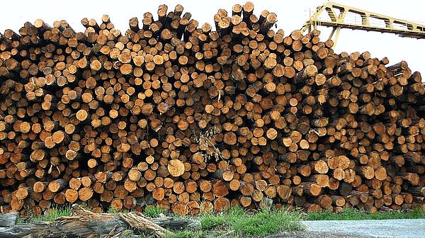 Ressourcen, Holzstappel