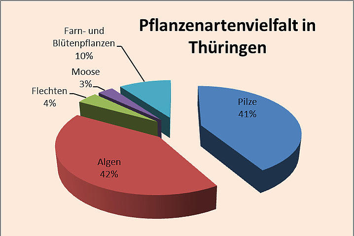 Grafik: Pflanzenartenvielfalt in Thüringen