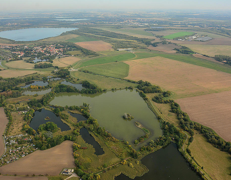 NSG 398, Blick von Südsüdwest auf die Haselbacher Teiche im gleichnamigen NSG (Landkreis Altenburger Land) an der Landesgrenze zu Sachsen. Rechts: Pleißeaue, in Sachsen in Bildmitte verlaufend. (Foto: Detlef Stremke/Archiv TLUBN, 23.09.2019)