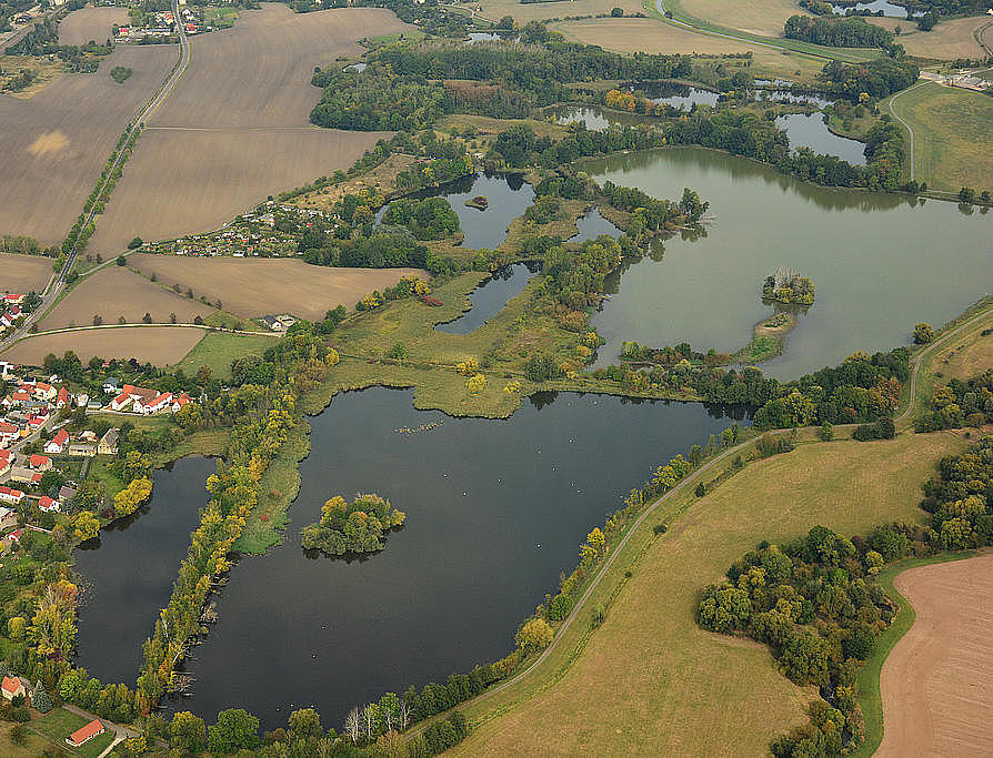 NSG 398, Blick von Südsüdost auf die Haselbacher Teiche im gleichnamigen NSG (Landkreis Altenburger Land) an der Landesgrenze zu Sachsen. Links: der Ort Haselbach. (Foto: Detlef Stremke/Archiv TLUBN, 23.09.2019)