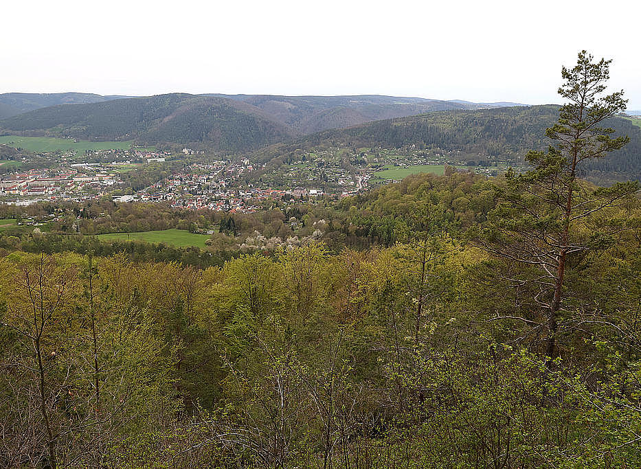 NSG 158, Blick von der Kesselwarte (siehe vorheriges Bild) in der bewirtschaftungs- und pflegefreien Zone nach Süden auf Bad Blankenburg, den Burghügel (Hausberg) mit der Burg Greifenstein und den „Eingang“ ins Schwarzatal (Foto: Holm Wenzel 01.05.2023).
