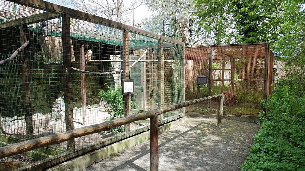 Voliere im Park der Staatlichen Vogelschutzwarte Seebach (Bild: TLUBN)