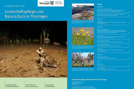Titel und Inhalt des LNT 3/2025