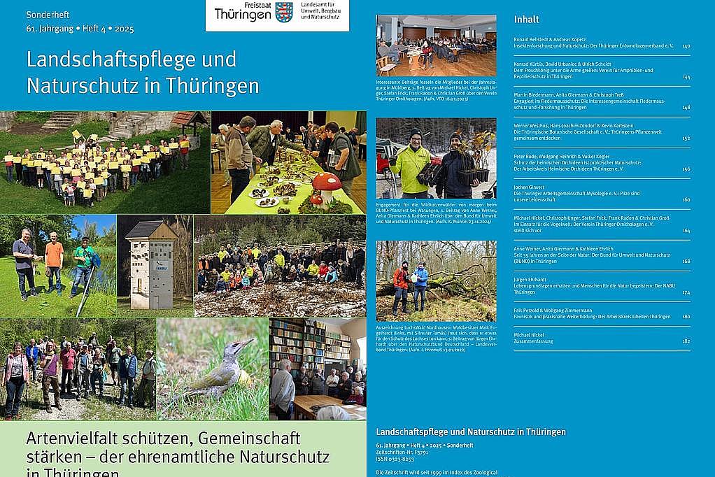 Titel und Inhalt des Sonderheftes LNT 4/2025