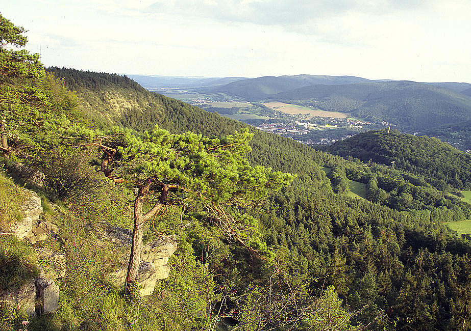 NSG 158, Blick vom Rabenfelsen entlang der östlichen Gölitzwände (links) nach Südosten zum Burghügel (Hausberg) mit der Burg Greifenstein Richtung Bad Blankenburg (Landkreis Saalfeld-Rudolstadt). (Foto: Holm Wenzel 12.08.2007)