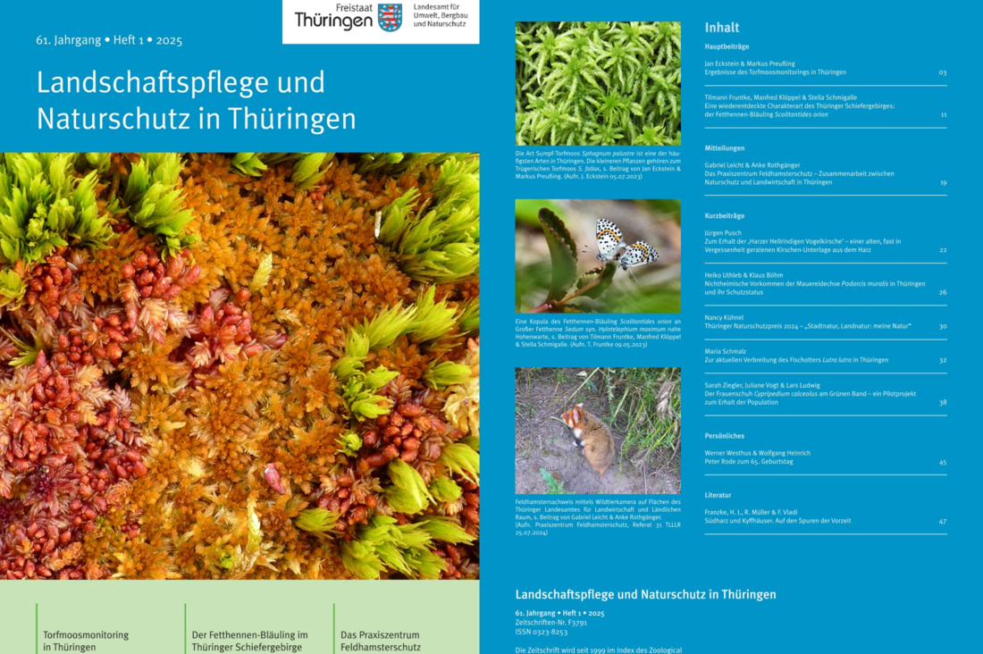 Deckblatt und Inhalt der aktuellen Ausgabe des LNT