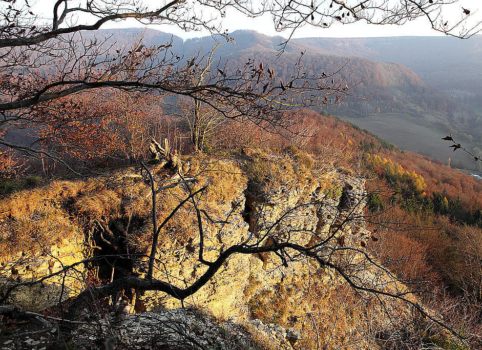 NSG 68, Muschelkalkklippe der „Nase“ nordöstlich Asbach (Landkreis Eichsfeld), Blick nach Südosten. Im Hintergrund: Rachelsberg (hinten links), Iberg (Bildmitte) und dahinter Hesselkopf (Hesselkuppe) mit ehemaligem Grenzstreifen sowie das hessische NSG „Kalkklippen südlich des Iberges“ (hinten rechts). (Foto: Holm Wenzel 06.11.2011)