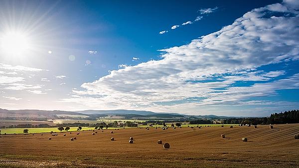 Landschaft